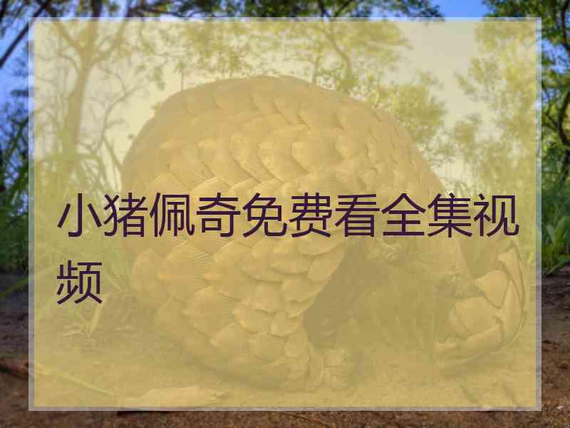 小猪佩奇免费看全集视频