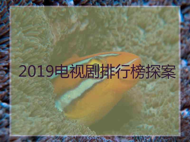 2019电视剧排行榜探案