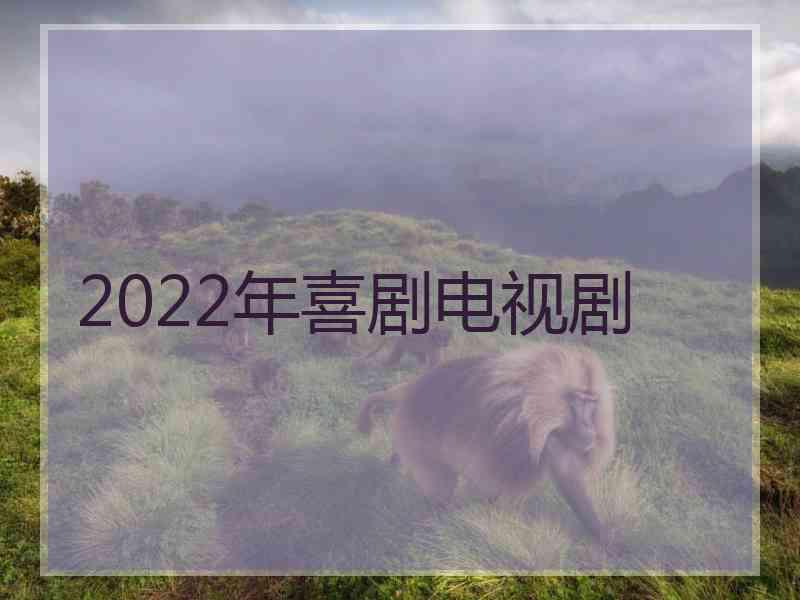 2022年喜剧电视剧