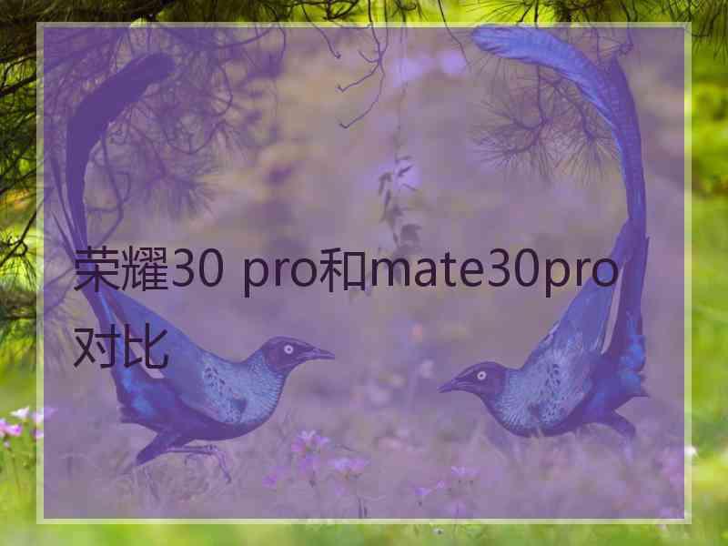 荣耀30 pro和mate30pro对比