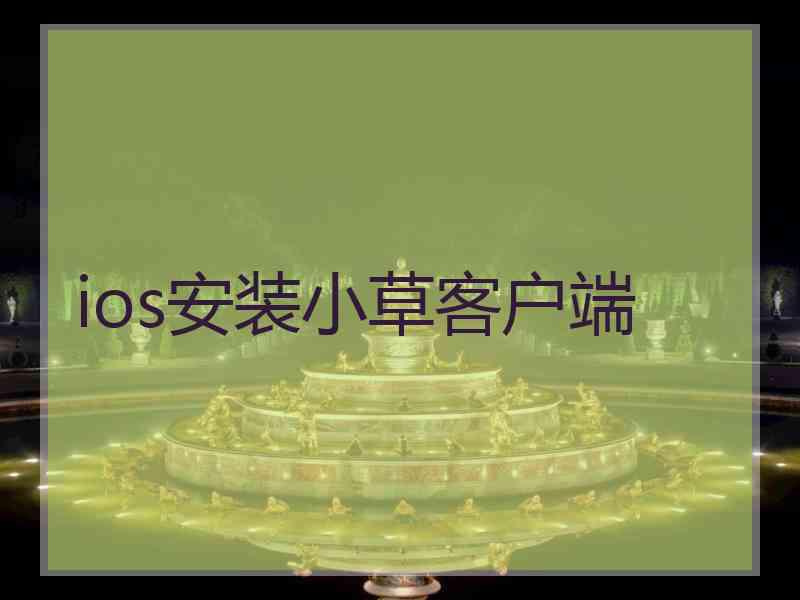 ios安装小草客户端