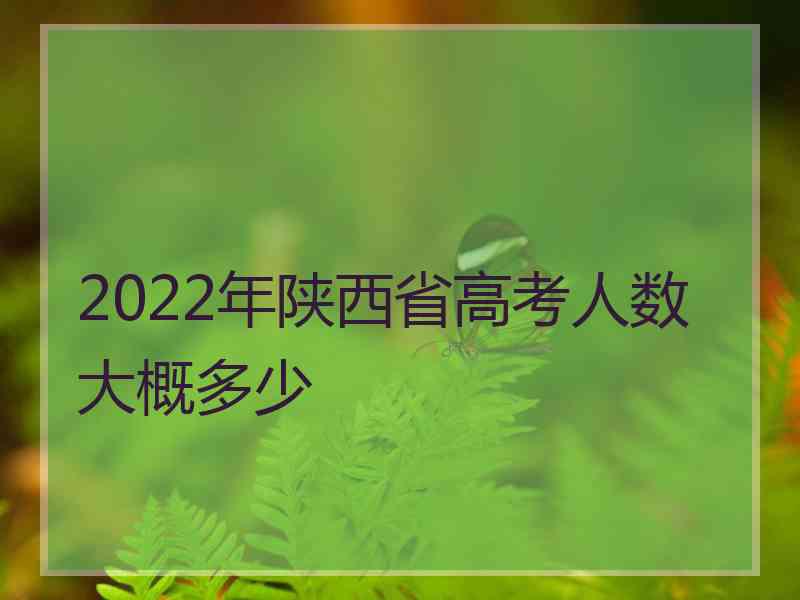 2022年陕西省高考人数大概多少