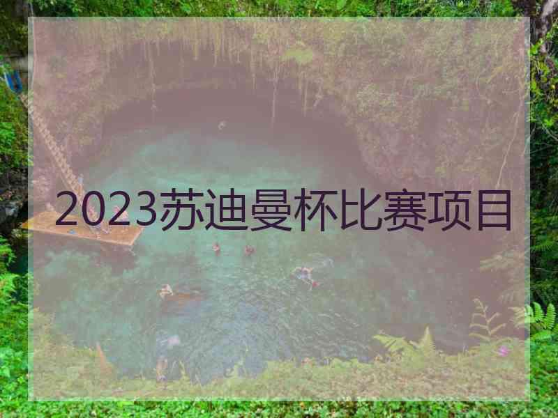 2023苏迪曼杯比赛项目