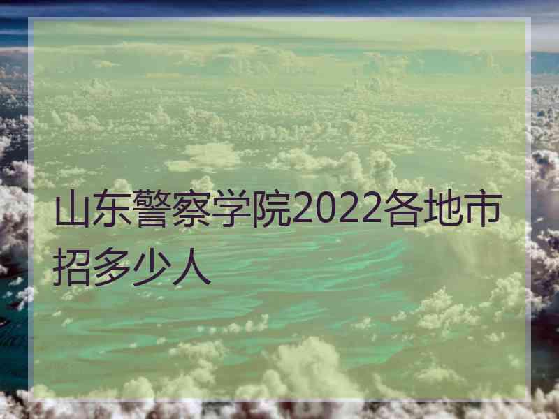 山东警察学院2022各地市招多少人