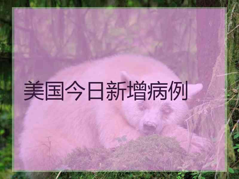 美国今日新增病例