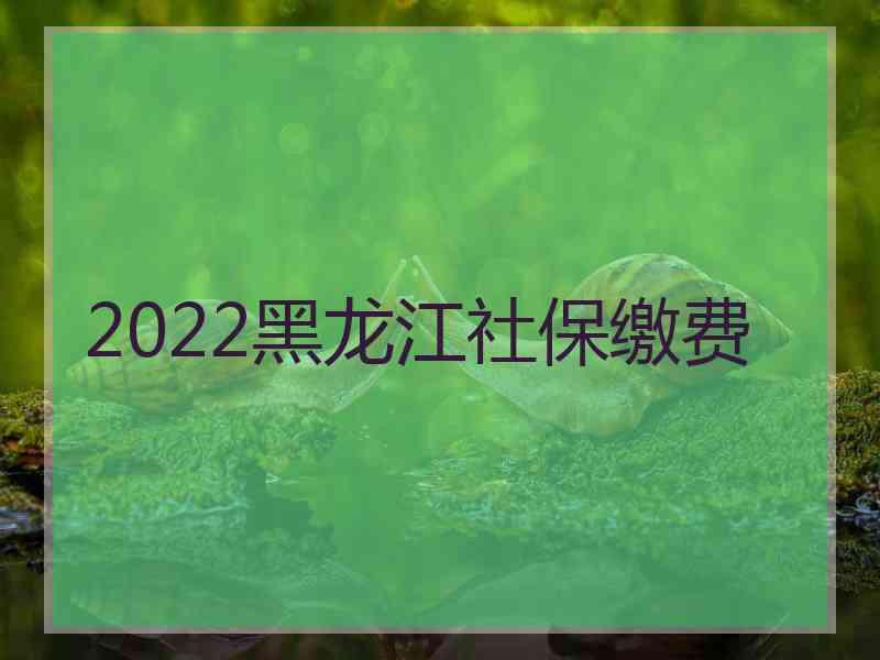 2022黑龙江社保缴费