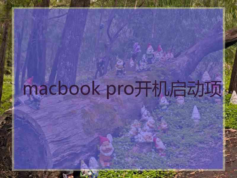 macbook pro开机启动项