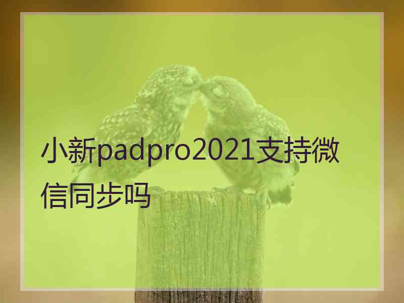 小新padpro2021支持微信同步吗