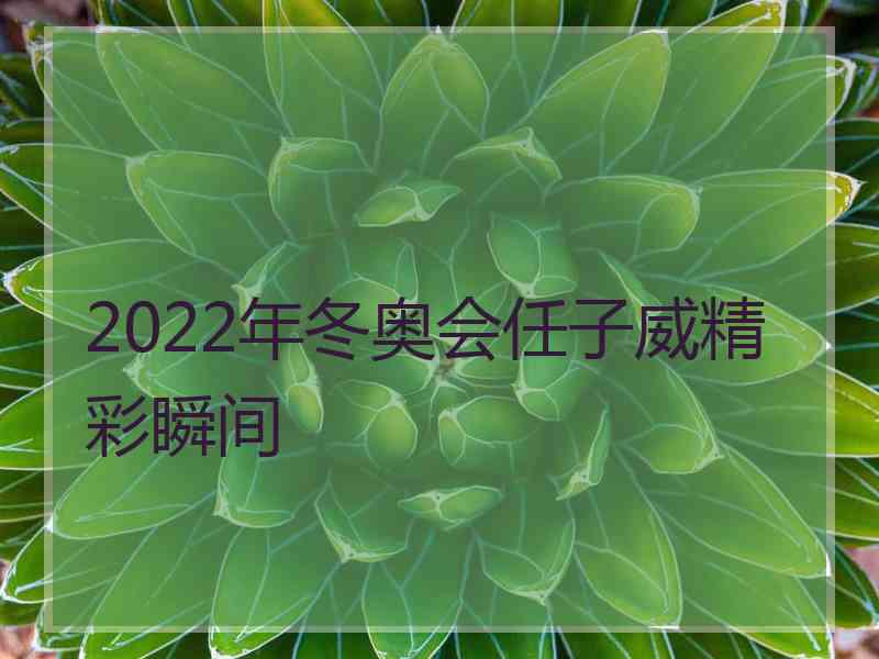 2022年冬奥会任子威精彩瞬间