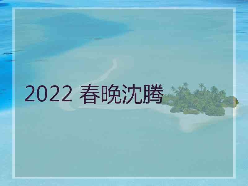 2022 春晚沈腾