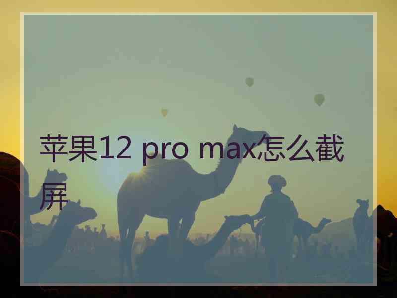 苹果12 pro max怎么截屏