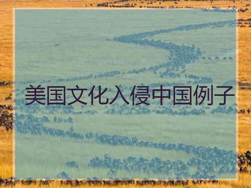 美国文化入侵中国例子