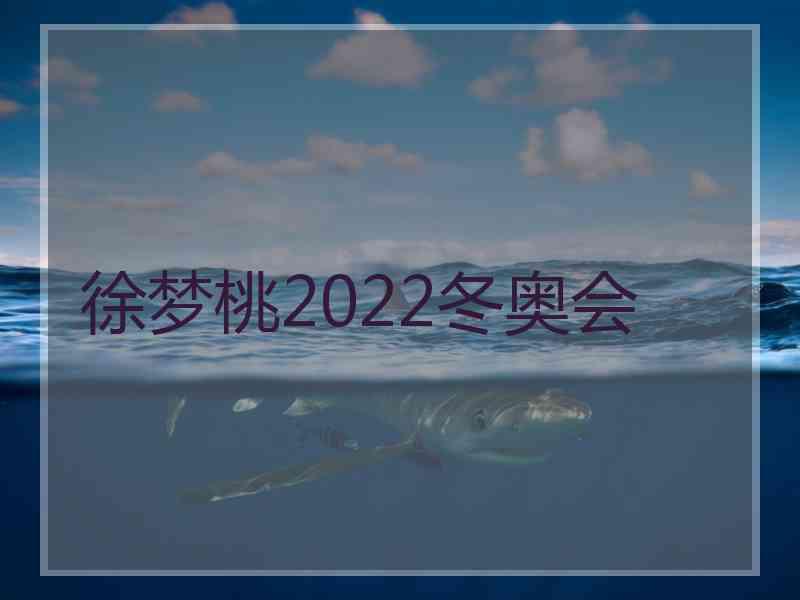 徐梦桃2022冬奥会