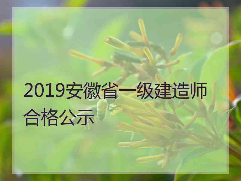 2019安徽省一级建造师合格公示