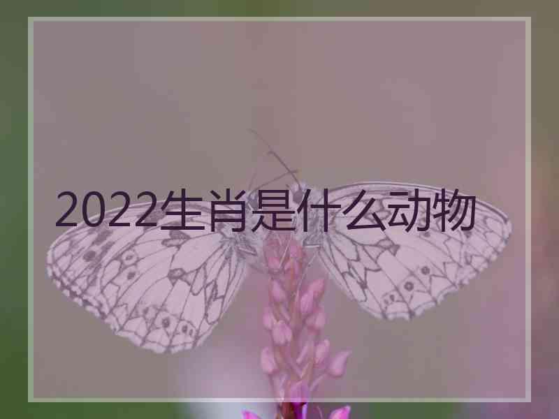 2022生肖是什么动物