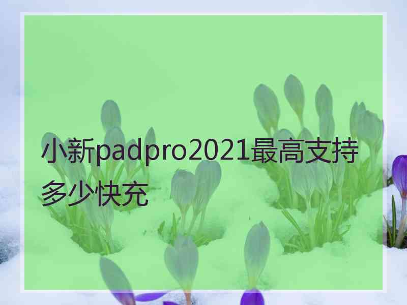 小新padpro2021最高支持多少快充