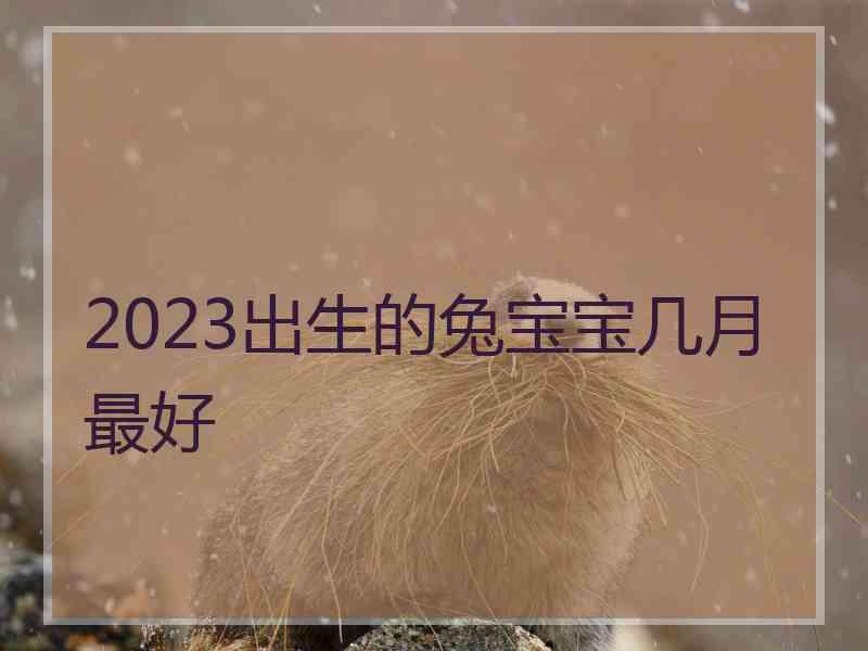 2023出生的兔宝宝几月最好