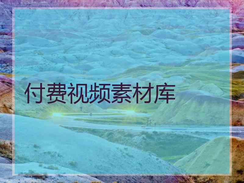 付费视频素材库