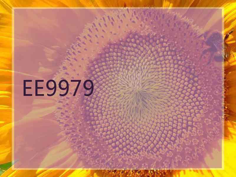 EE9979