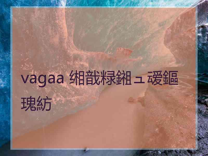 vagaa 缃戠粶鎺ュ叆鏂瑰紡