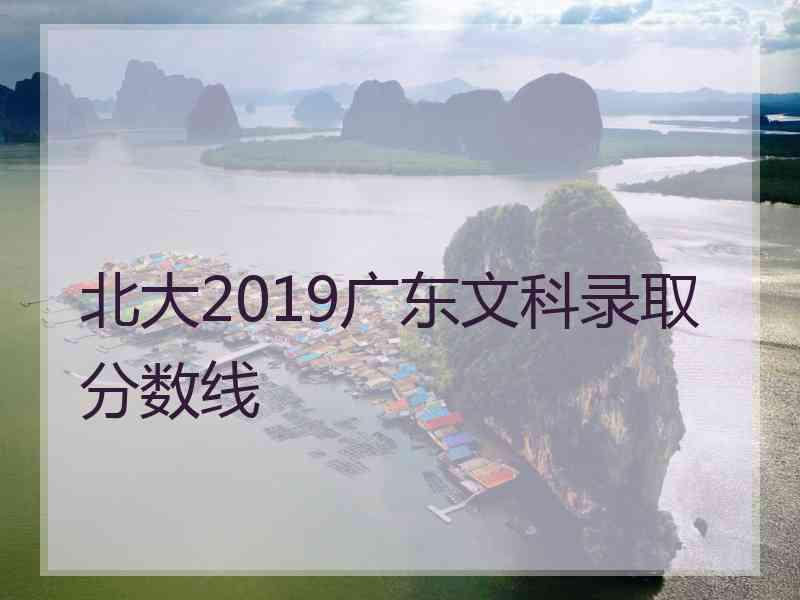 北大2019广东文科录取分数线