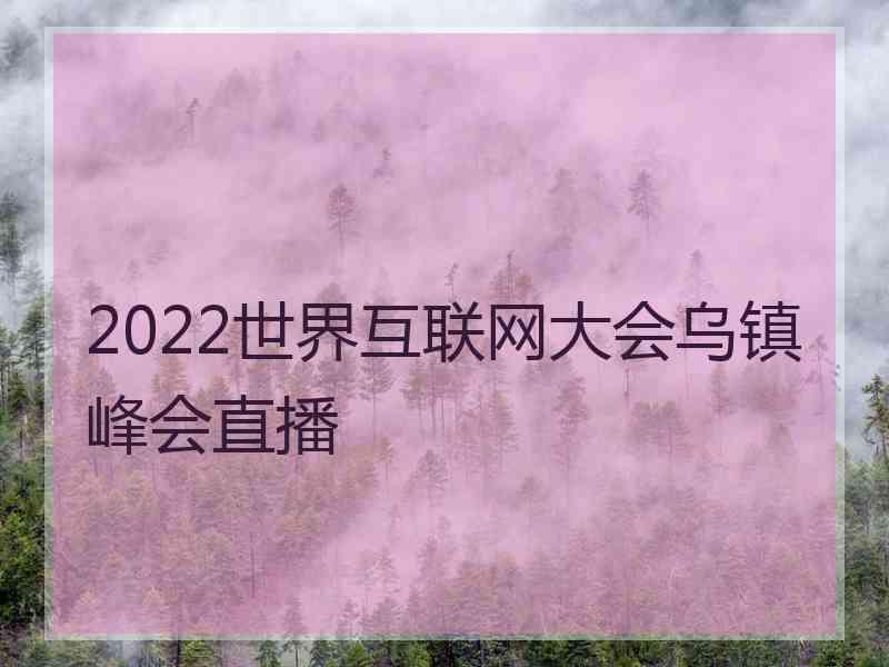 2022世界互联网大会乌镇峰会直播