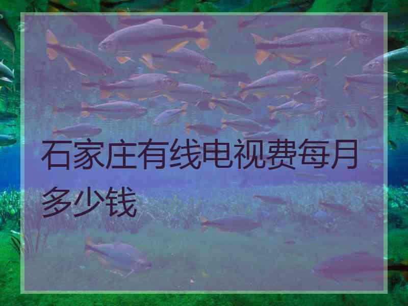 石家庄有线电视费每月多少钱