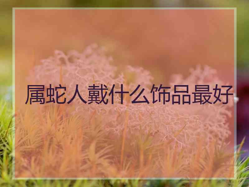 属蛇人戴什么饰品最好