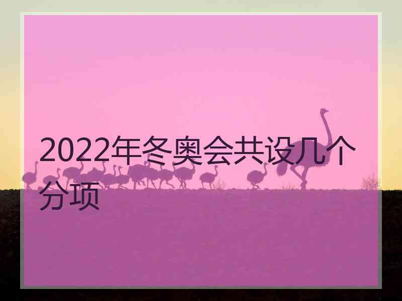2022年冬奥会共设几个分项