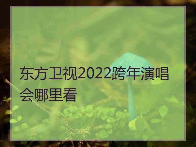 东方卫视2022跨年演唱会哪里看