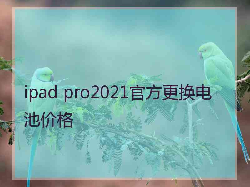 ipad pro2021官方更换电池价格