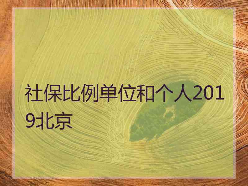 社保比例单位和个人2019北京