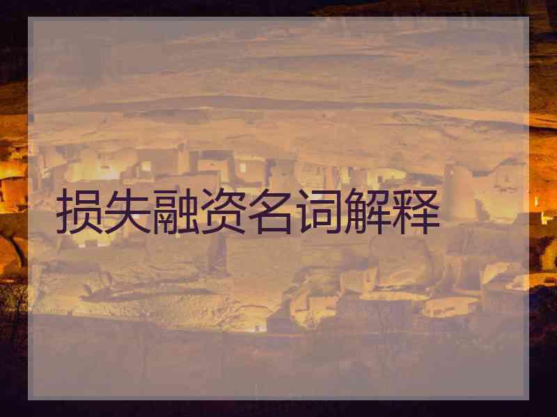 损失融资名词解释