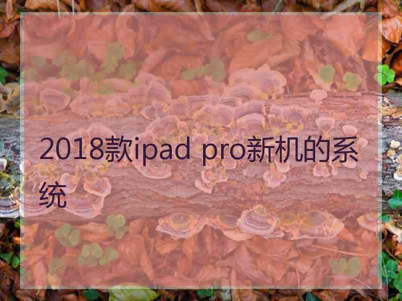 2018款ipad pro新机的系统