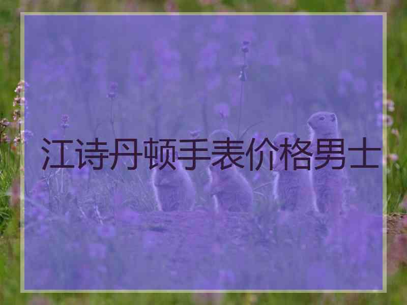 江诗丹顿手表价格男士