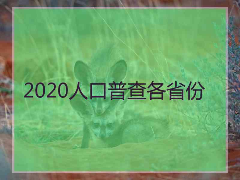 2020人口普查各省份