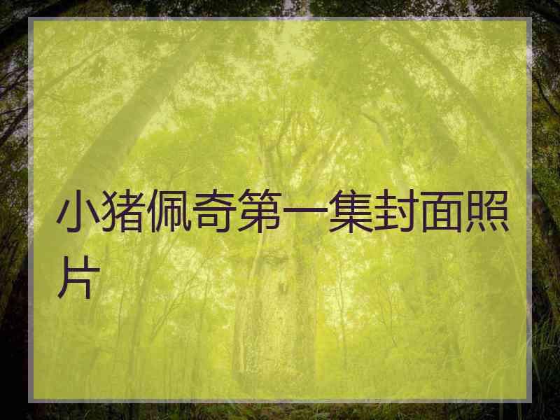 小猪佩奇第一集封面照片