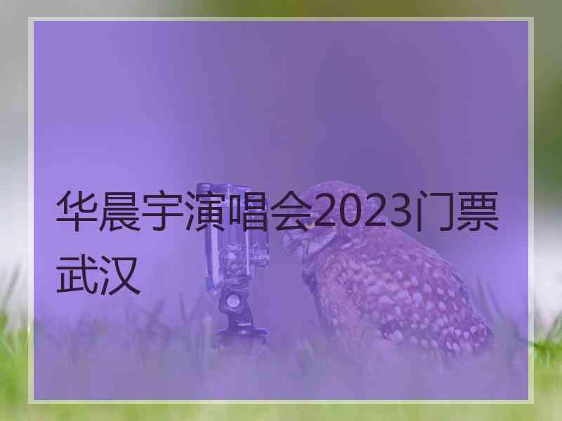 华晨宇演唱会2023门票武汉
