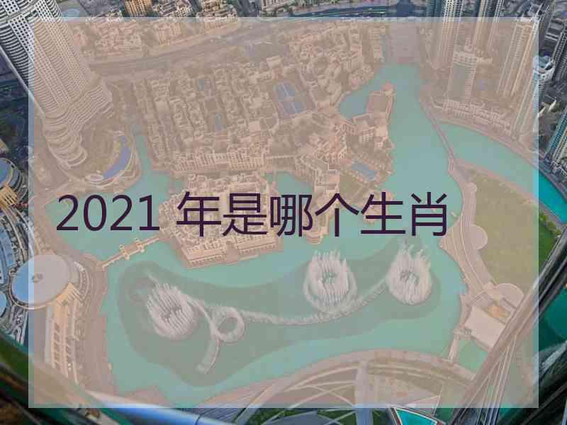 2021 年是哪个生肖