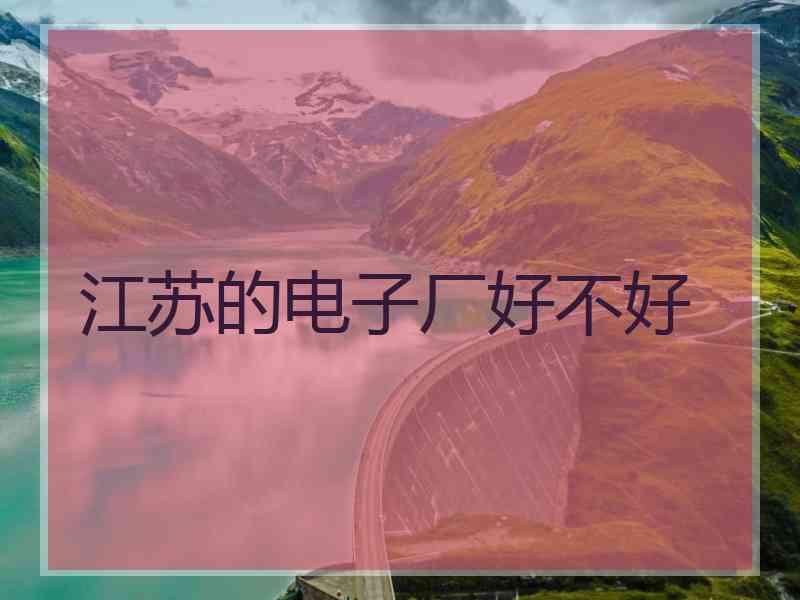江苏的电子厂好不好