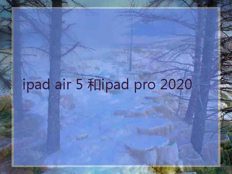 ipad air 5 和ipad pro 2020