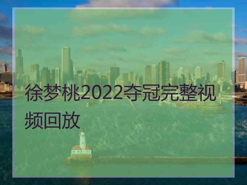 徐梦桃2022夺冠完整视频回放