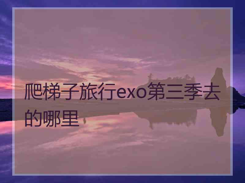 爬梯子旅行exo第三季去的哪里