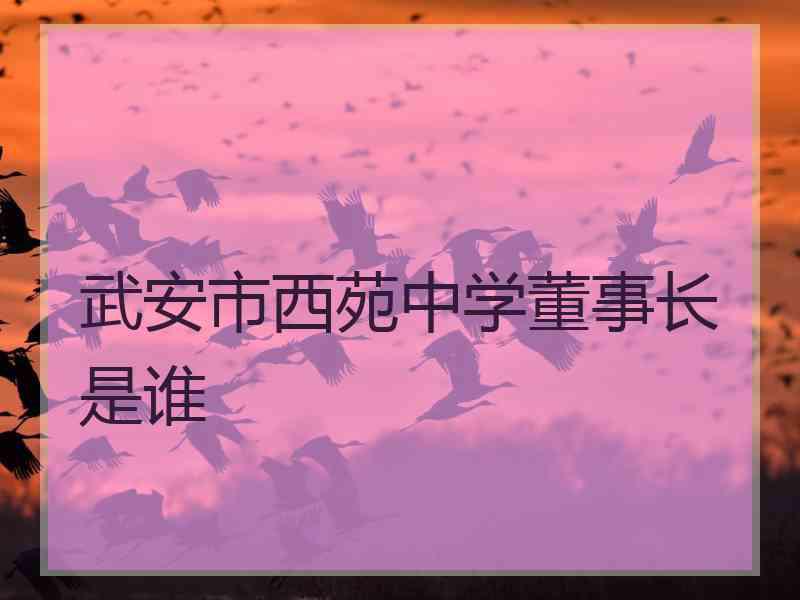 武安市西苑中学董事长是谁