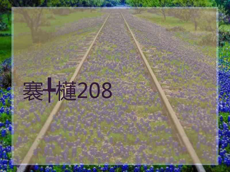 褰╄櫣208