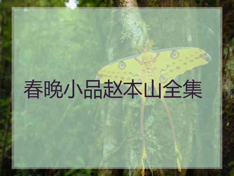 春晚小品赵本山全集