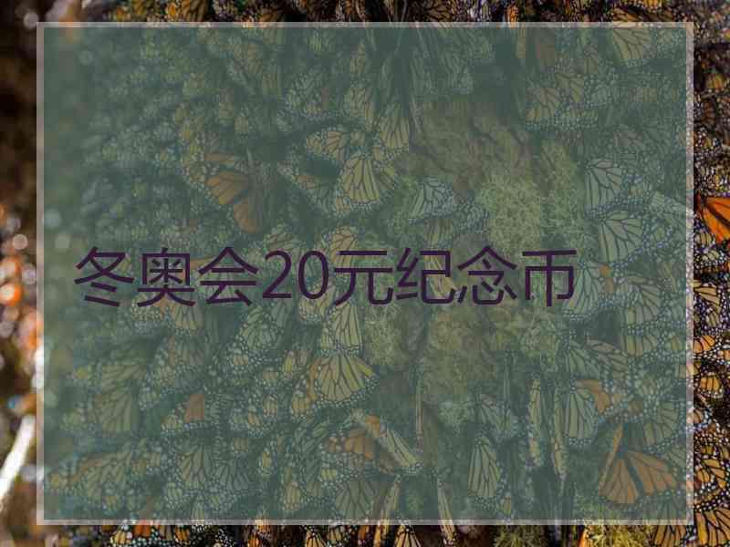 冬奥会20元纪念币