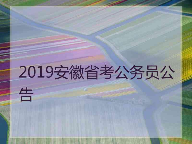 2019安徽省考公务员公告