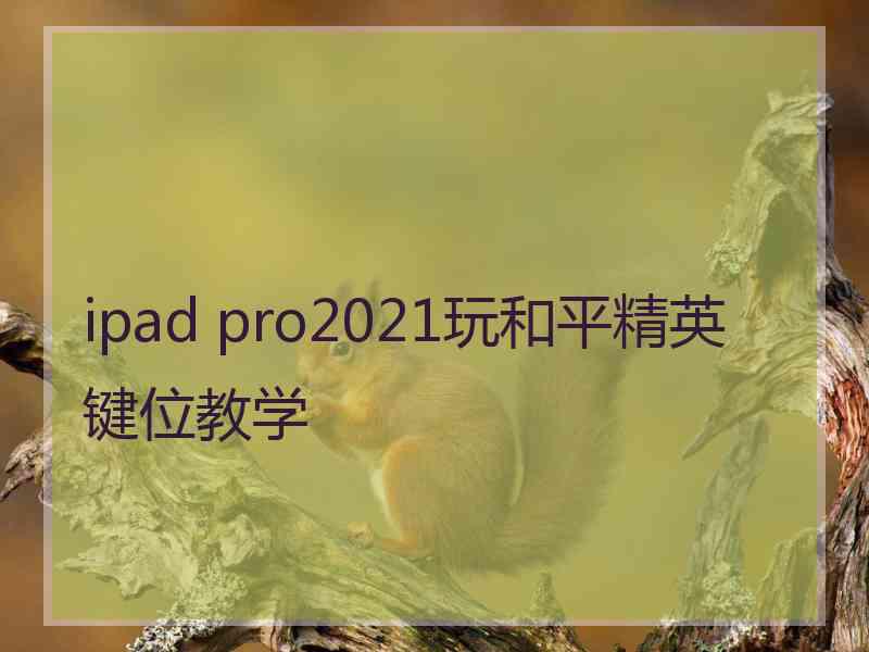 ipad pro2021玩和平精英键位教学