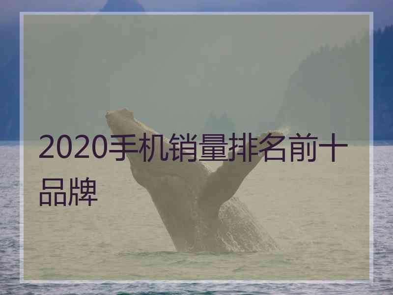 2020手机销量排名前十品牌